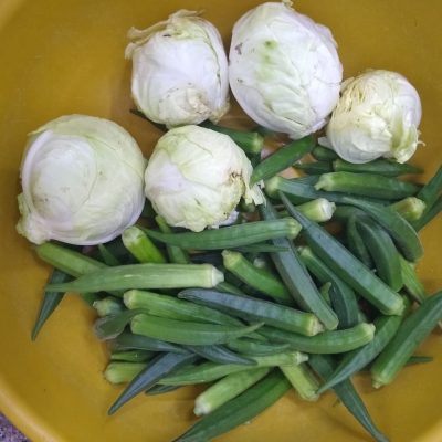 Sample of the cabbages & Lady Fingers harvested from our garden, for the hospital kitchen