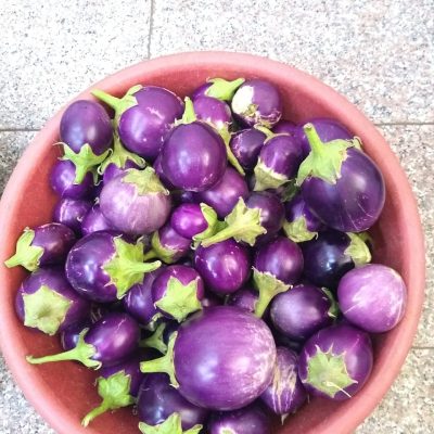 Organically grown vegetables from our garden for the patients